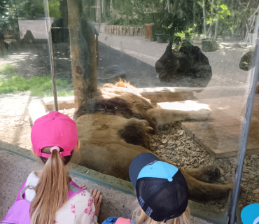Výlet ZOO Liberec
