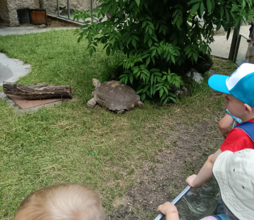 Výlet ZOO Liberec