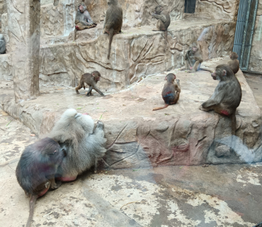 Výlet ZOO Liberec