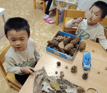 Podzimní pracovní činnosti