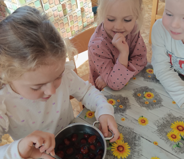 Podzimní pracovní činnosti